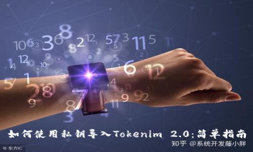 如何使用私钥导入Tokenim 2.0：简单指南