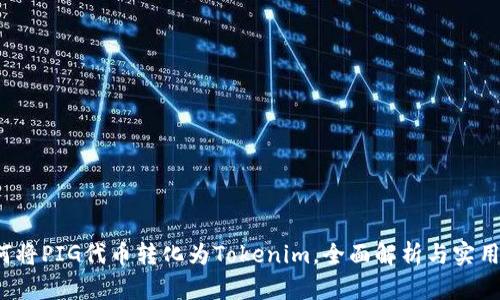 如何将PIG代币转化为Tokenim,全面解析与实用指南