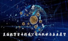 美国数字货币持有公司的