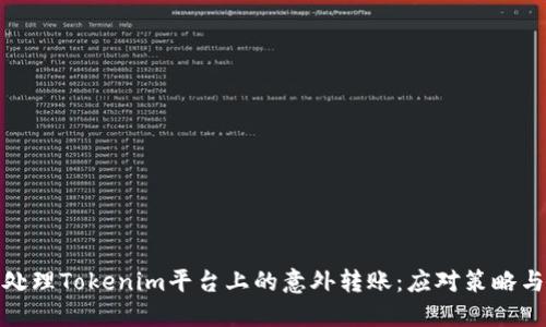 如何处理Tokenim平台上的意外转账:应对策略与建议