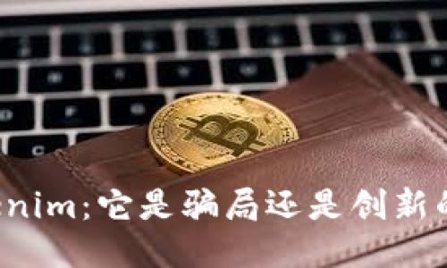深入探讨Tokenim:它是骗局还是创新的区块链平台?
