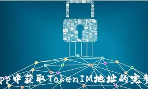 在DApp中获取TokenIM地址的完整指南