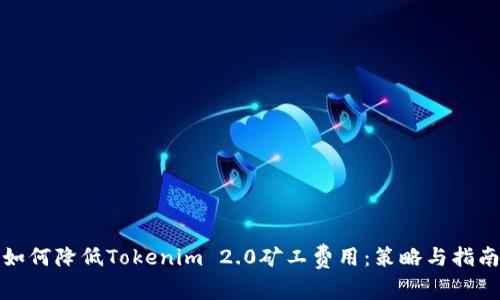 如何降低Tokenim 2.0矿工费用:策略与指南