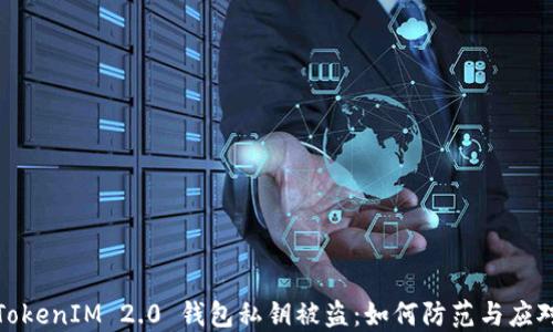 TokenIM 2.0 钱包私钥被盗:如何防范与应对