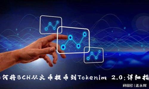 如何将BCH从火币提币到Tokenim 2.0:详细指南