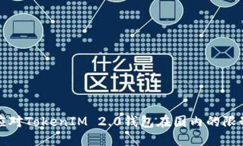 如何应对TokenIM 2.0钱包在国内的限制问题