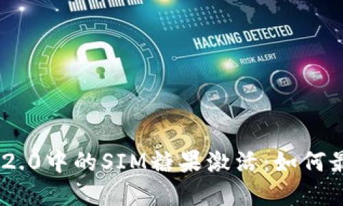 全面解读Tokenim 2.0中的SIM糖果激活:如何最大化你的投资价值