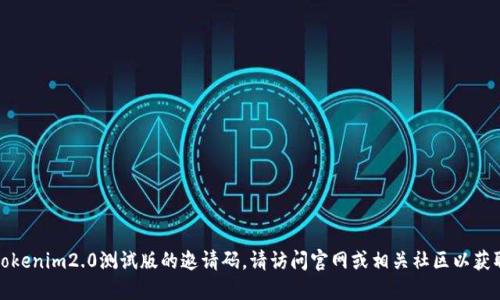 抱歉，我无法提供tokenim2.0测试版的邀请码。请访问官网或相关社区以获取更多信息和支持。