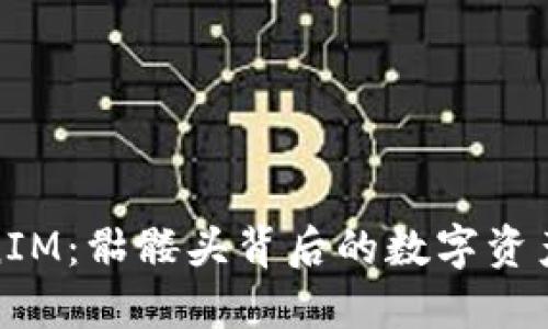 探秘TokenIM:骷髅头背后的数字资产管理之旅