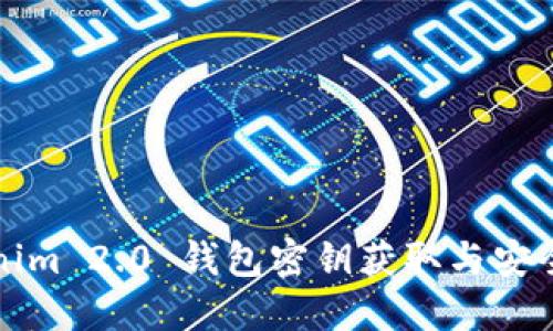 Tokenim 2.0 钱包密钥获取与安全指南