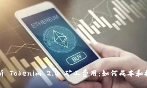 深入解析 Tokenim 2.0 矿工费用:如何成本和提高收益