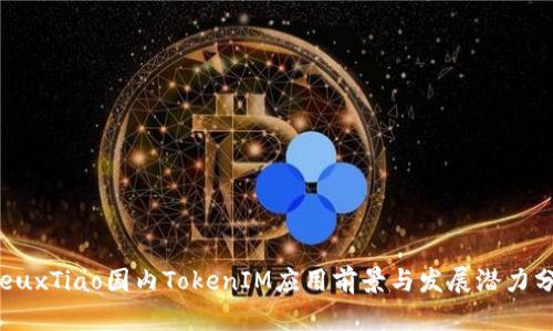 deuxTiao国内TokenIM应用前景与发展潜力分析