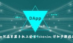 如何在苹果手机上安装T