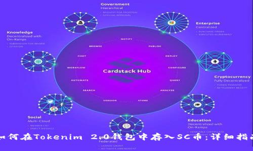如何在Tokenim 2.0钱包中存入SC币：详细指南
