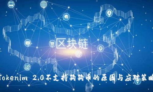 Tokenim 2.0不支持狗狗币的原因与应对策略