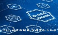Tokenim 2.0与CGPay的区别解析