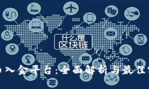 数字货币入金平台:全面解析与最佳实践指南