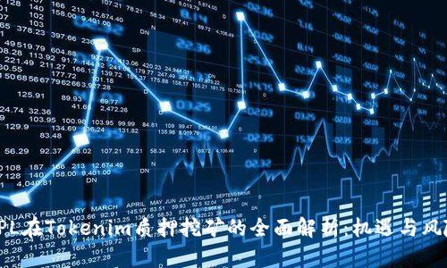 DPL在Tokenim质押挖矿的全面解析:机遇与风险