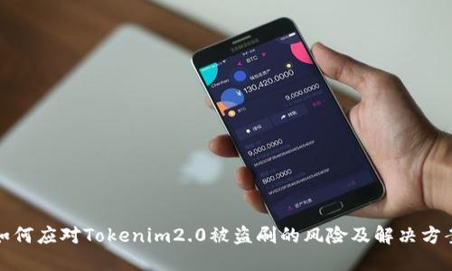 如何应对Tokenim2.0被盗刷的风险及解决方案