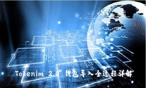 Tokenim 2.0 钱包导入全过程详解