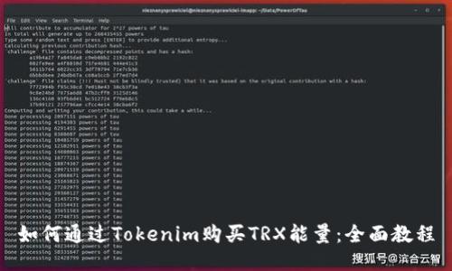 如何通过Tokenim购买TRX能量:全面教程