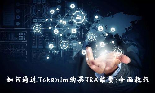 如何通过Tokenim购买TRX能量:全面教程