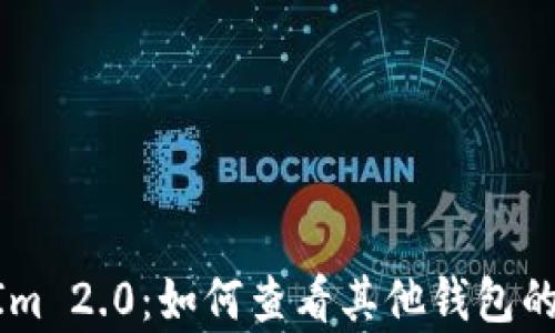 
深入解析TokenIm 2.0：如何查看其他钱包的资产和交易信息