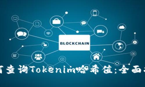 如何查询Tokenim哈希值：全面指南