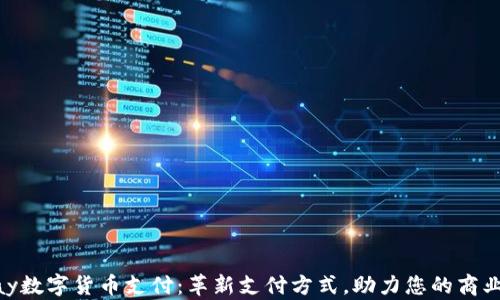 
OnPay数字货币支付：革新支付方式，助力您的商业发展