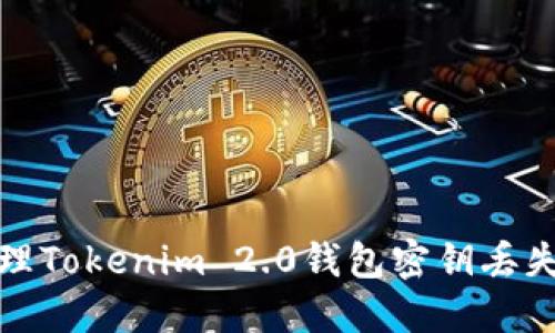 如何处理Tokenim 2.0钱包密钥丢失的问题