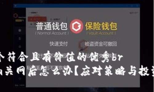 思考一个符合且有价值的优秀br
Tokenim关网后怎么办？应对策略与投资者指南