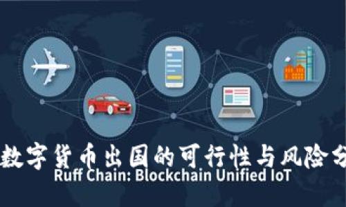 用数字货币出国的可行性与风险分析