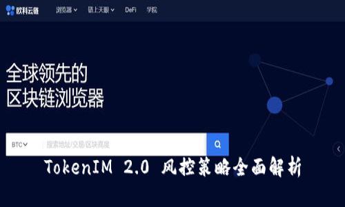 TokenIM 2.0 风控策略全面解析