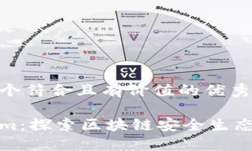 思考一个符合且有价值的优秀

Tokenim：探索区块链安全生态的未来