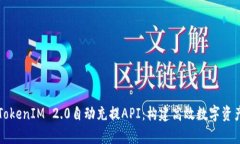 深度解析TokenIM 2.0自动充提