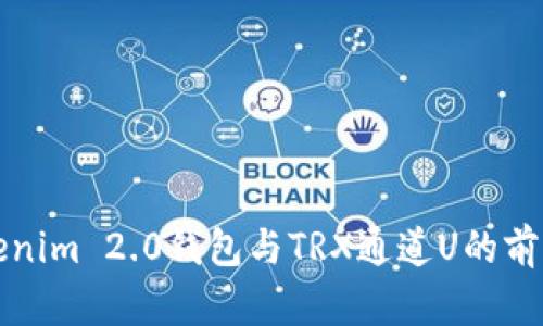 详解Tokenim 2.0钱包与TRX通道U的前景与优势