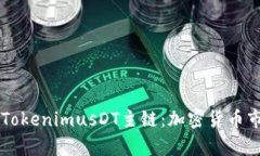 全面解析TokenimusDT主链：加