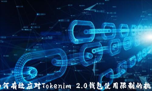
如何有效应对Tokenim 2.0钱包使用限制的挑战
