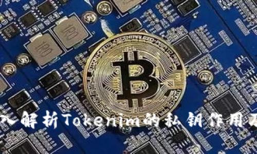 biatoti深入解析Tokenim的私钥作用及其安全性
