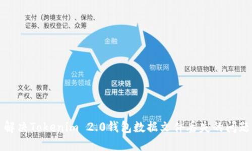 解决Tokenim 2.0钱包数据文件丢失的问题