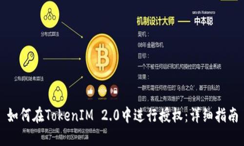 如何在TokenIM 2.0中进行授权：详细指南