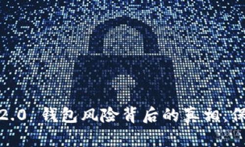 揭开 Tokenim 2.0 钱包风险背后的真相：保护您的数字资产