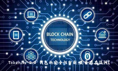 Tokenim 2.0 钱包的安全性分析：是否存在漏洞？