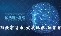 全面解析俄罗斯数字货币