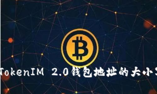 全面解析：TokenIM 2.0钱包地址的大小写字母规则