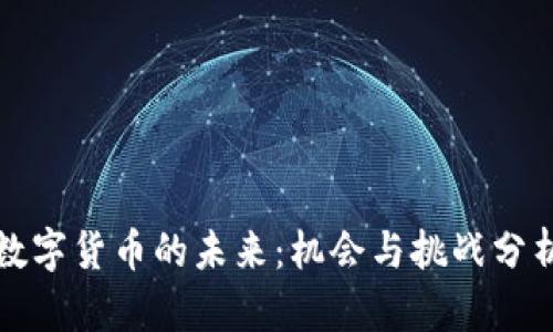 数字货币的未来：机会与挑战分析