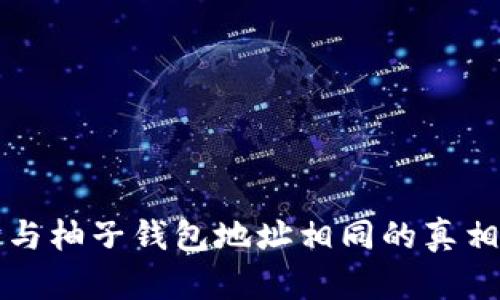 以太坊与柚子钱包地址相同的真相与思考