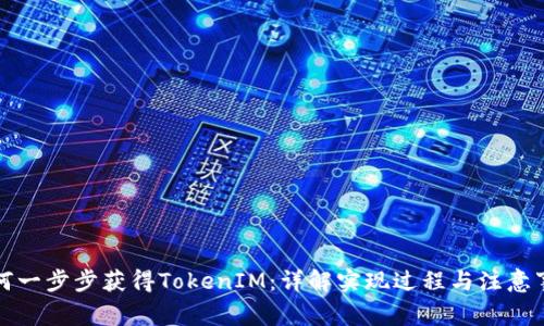 如何一步步获得TokenIM：详解实现过程与注意事项